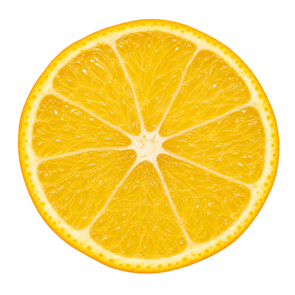 Generated head-on Sinton Citrangequat cross section with golden-yellow flesh, thin cream pith and delicate radial membranes