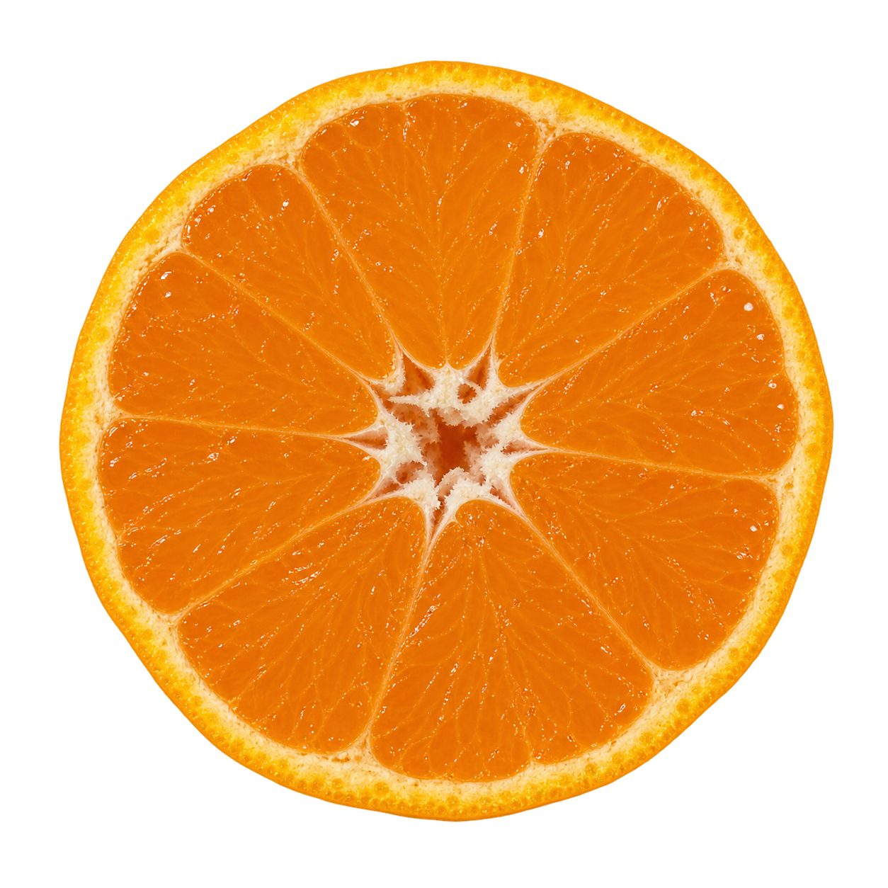 Approximate generated depiction of a Xie Shan Satsuma cross section viewed head-on, with orange flesh, narrow cream pith and no visible seeds