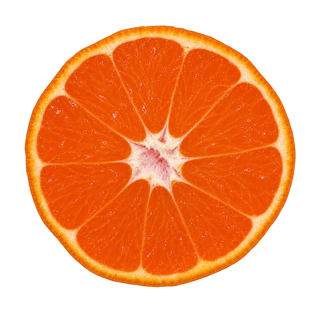 Approximate generated depiction of a Frost Owari Satsuma cross section using an Owari reference, with orange flesh and narrow cream pith