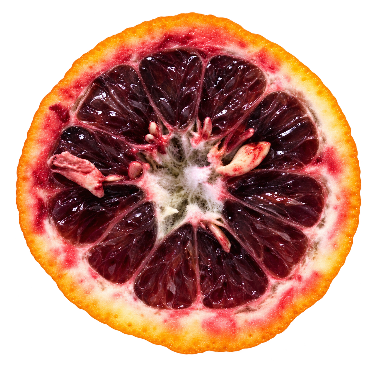 Generated depiction of an Amoa 8 Tangor cross section viewed head-on, with deep burgundy flesh, red-stained creamy pith, orange rind, and pale seeds