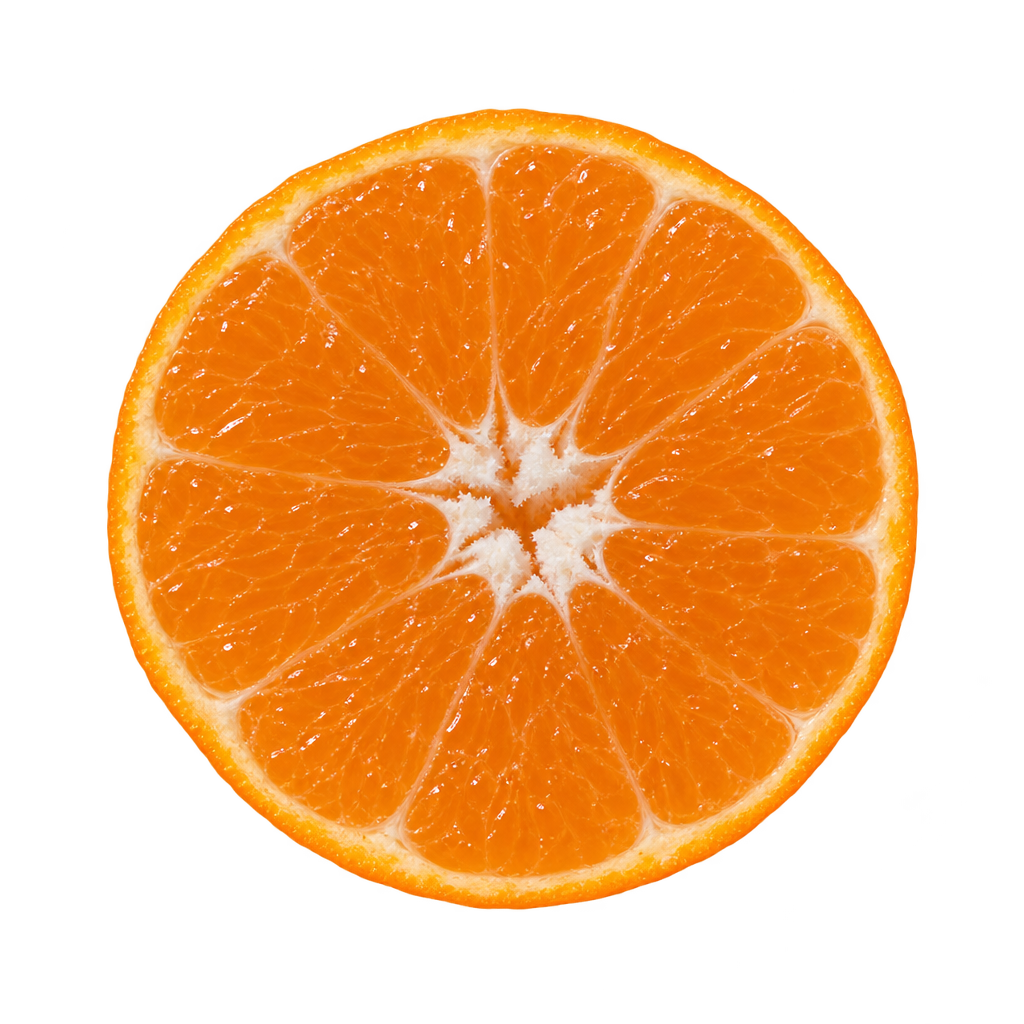 Generated head-on Seedless Kishu mandarin cross section with orange flesh, thin cream pith and no visible seeds