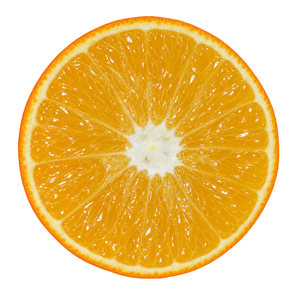 Generated depiction of a Sugar Belle cross section viewed head-on, with golden-orange flesh, thin cream pith and a pale central core