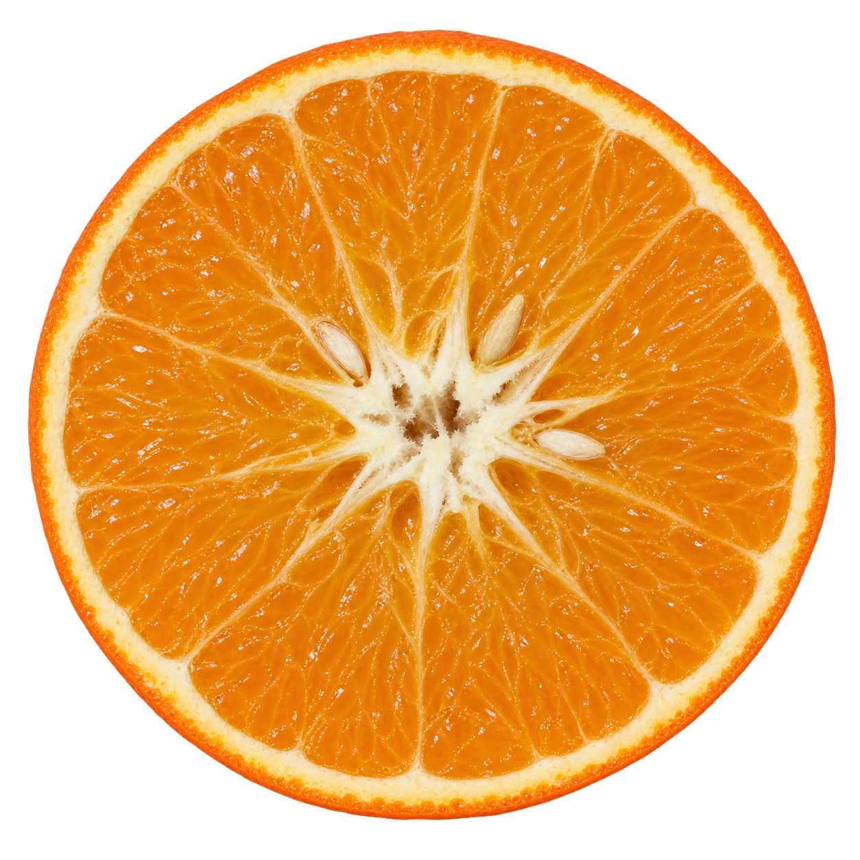 Approximate generated depiction of a Minneola Tangelo cross section with golden-orange flesh, narrow cream pith and a few ivory seeds around the fibrous center