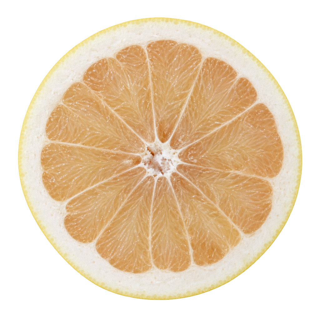 Generated Thompson grapefruit cross section with pale cream-peach flesh, a slight pink hue and a broad cream pith ring