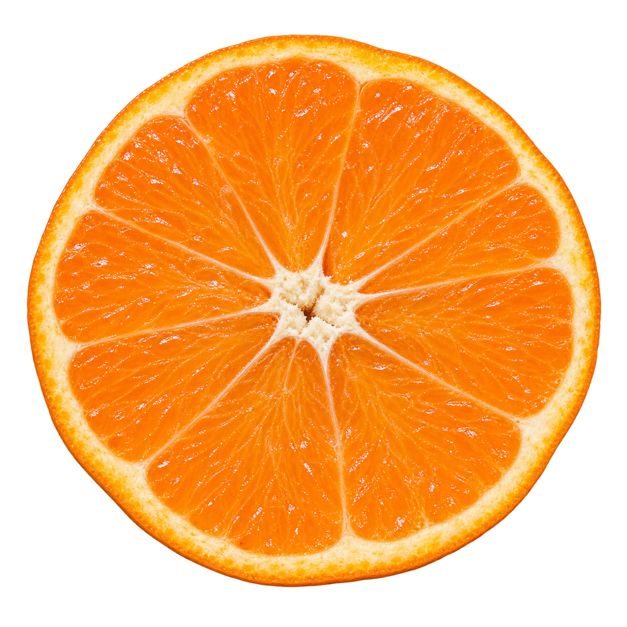 Generated depiction of an Okitsu Wase Satsuma cross section viewed head-on, with orange flesh, narrow cream pith and no visible seeds