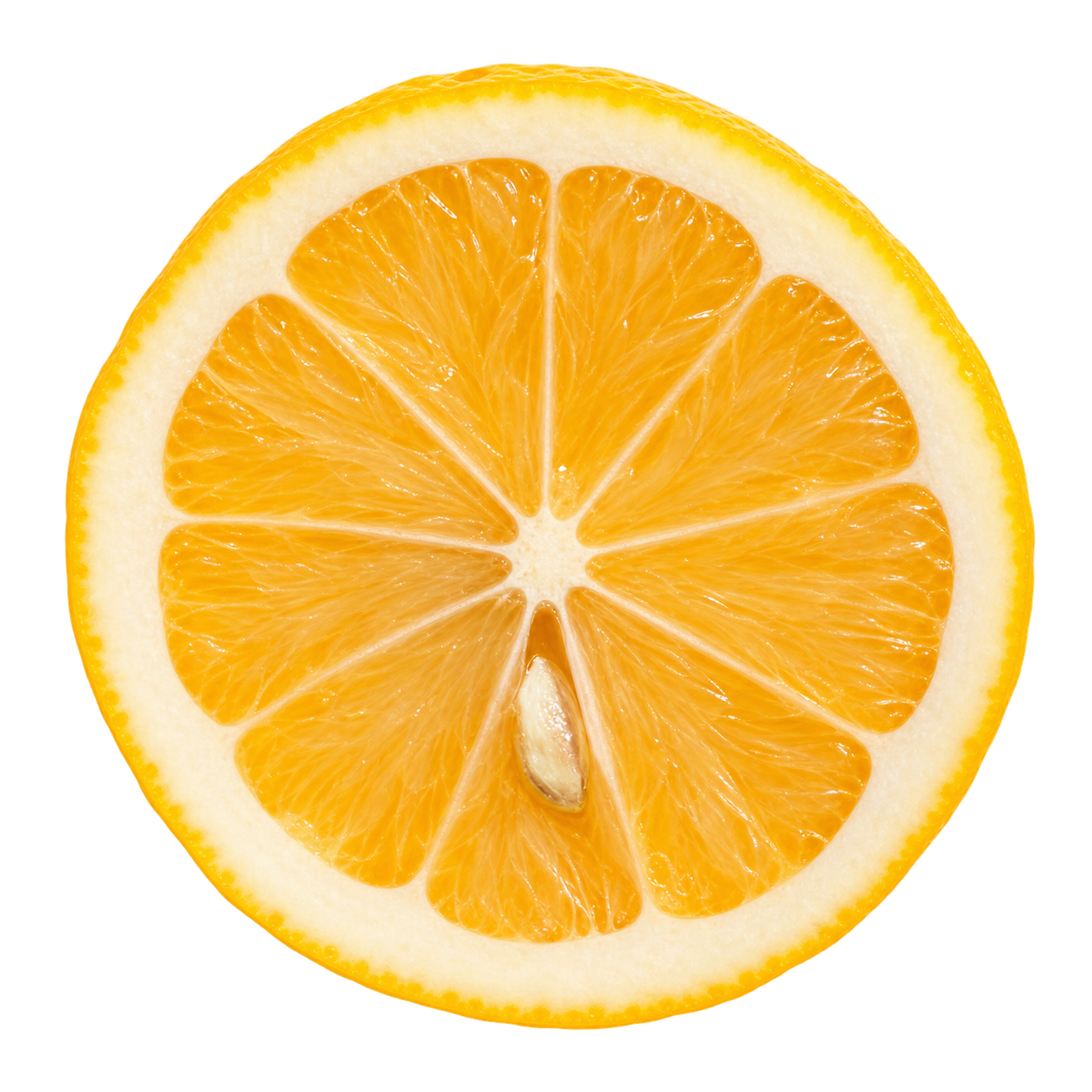 Generated depiction of a Meyer Lemon cross section viewed head-on, with golden flesh, attached cream pith and an ivory seed near the center