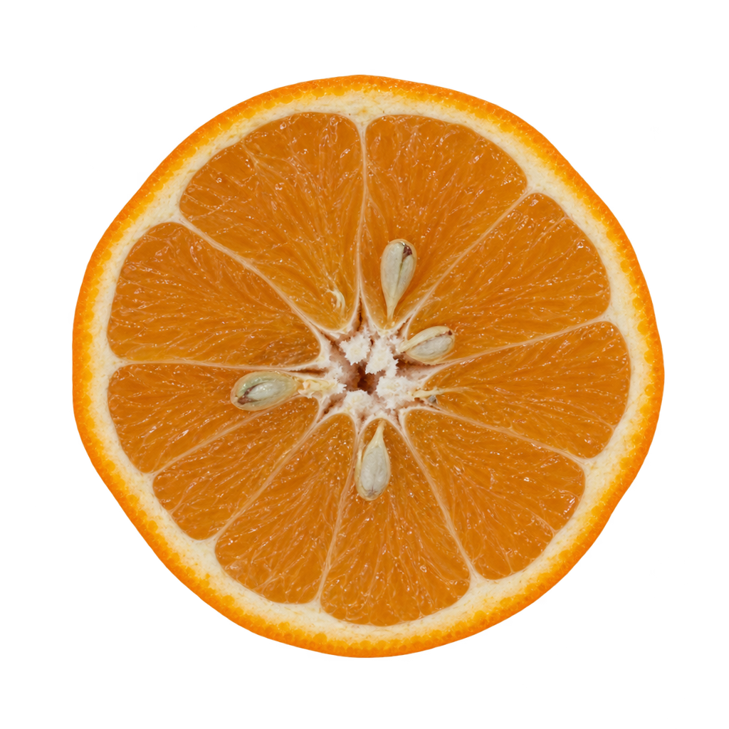 Generated depiction of a San Jacinto Tangelo equatorial cross section with amber-orange flesh, pale pith and ivory seeds