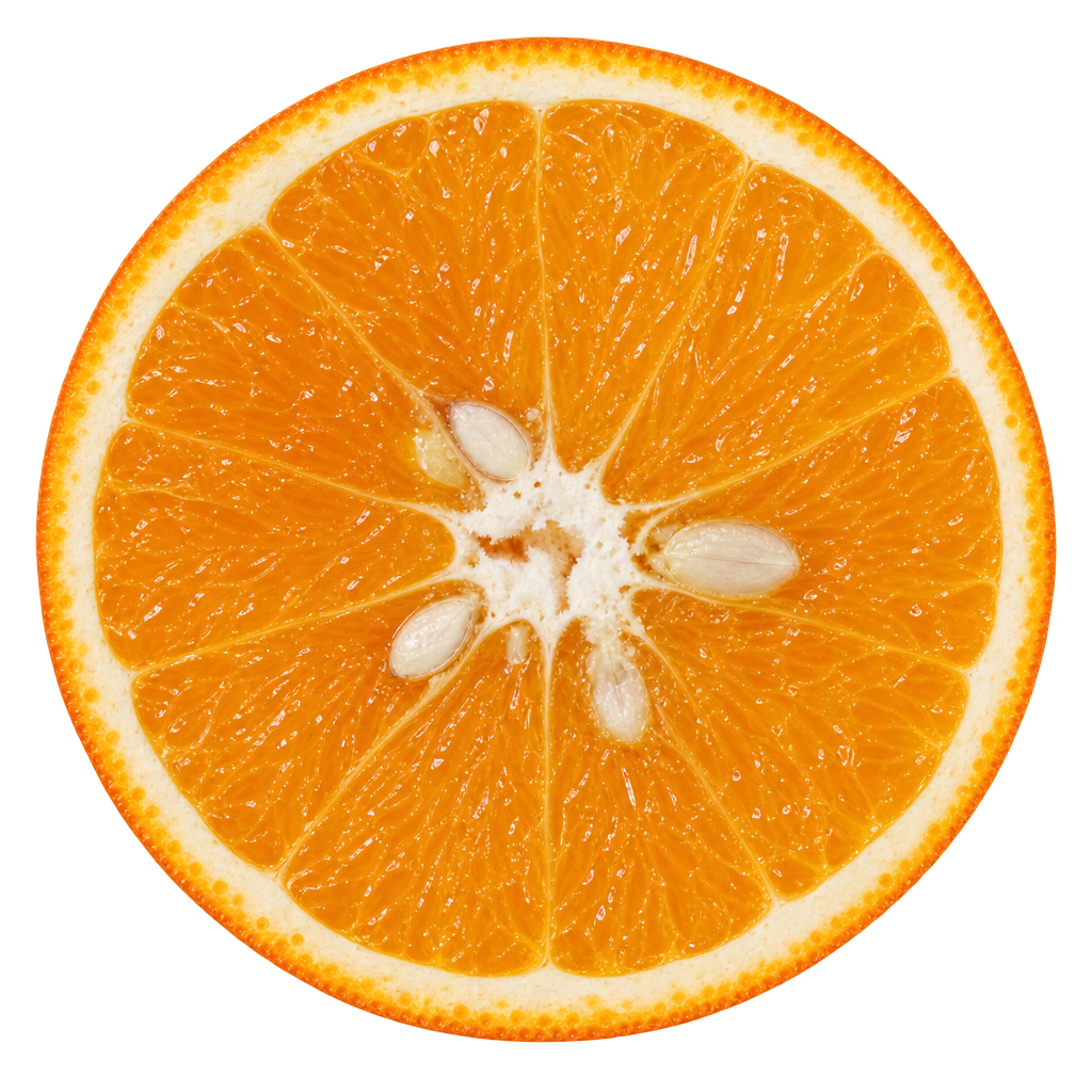 Generated Parson Brown sweet orange cross section with golden-orange flesh, thin cream pith and pale seeds