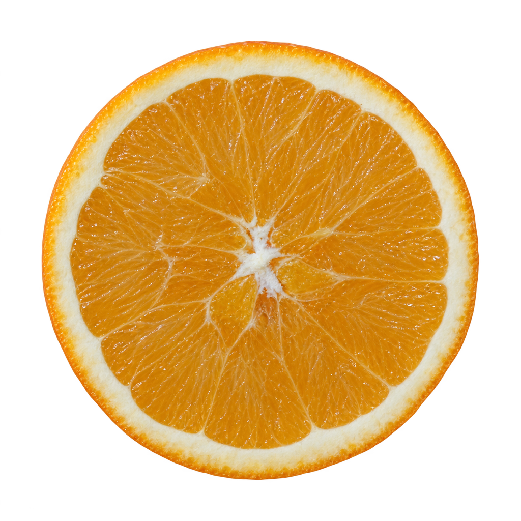 Generated head-on Washington Navel Orange cross section with golden-orange flesh, attached cream pith and a small filled core.