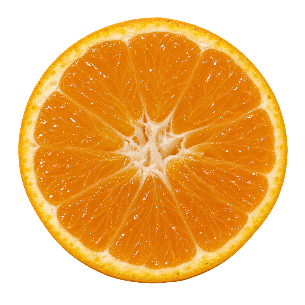 Generated head-on Iwasaki Satsuma cross section with amber-orange flesh, thin cream pith and an irregular pale core