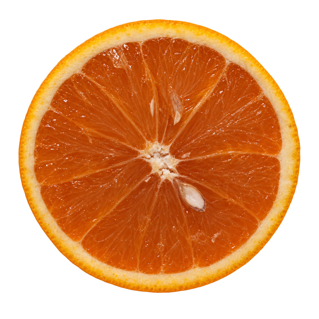 Generated head-on OLL-8 Orange cross section with deep amber-orange flesh, thin attached cream pith and an ivory seed near the core