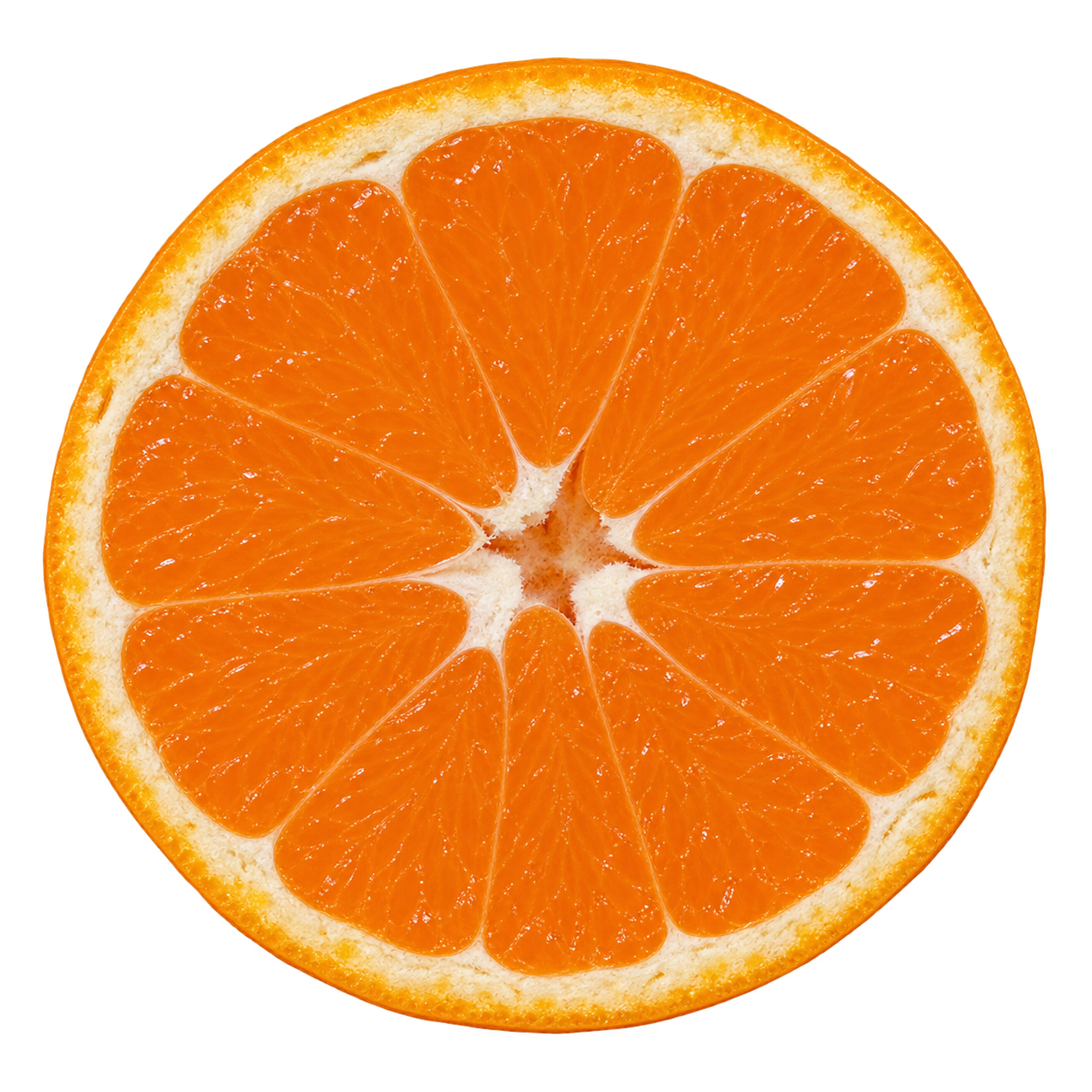 Generated depiction of a Miho Wase Satsuma cross section viewed head-on, with orange flesh, narrow cream pith and no visible seeds