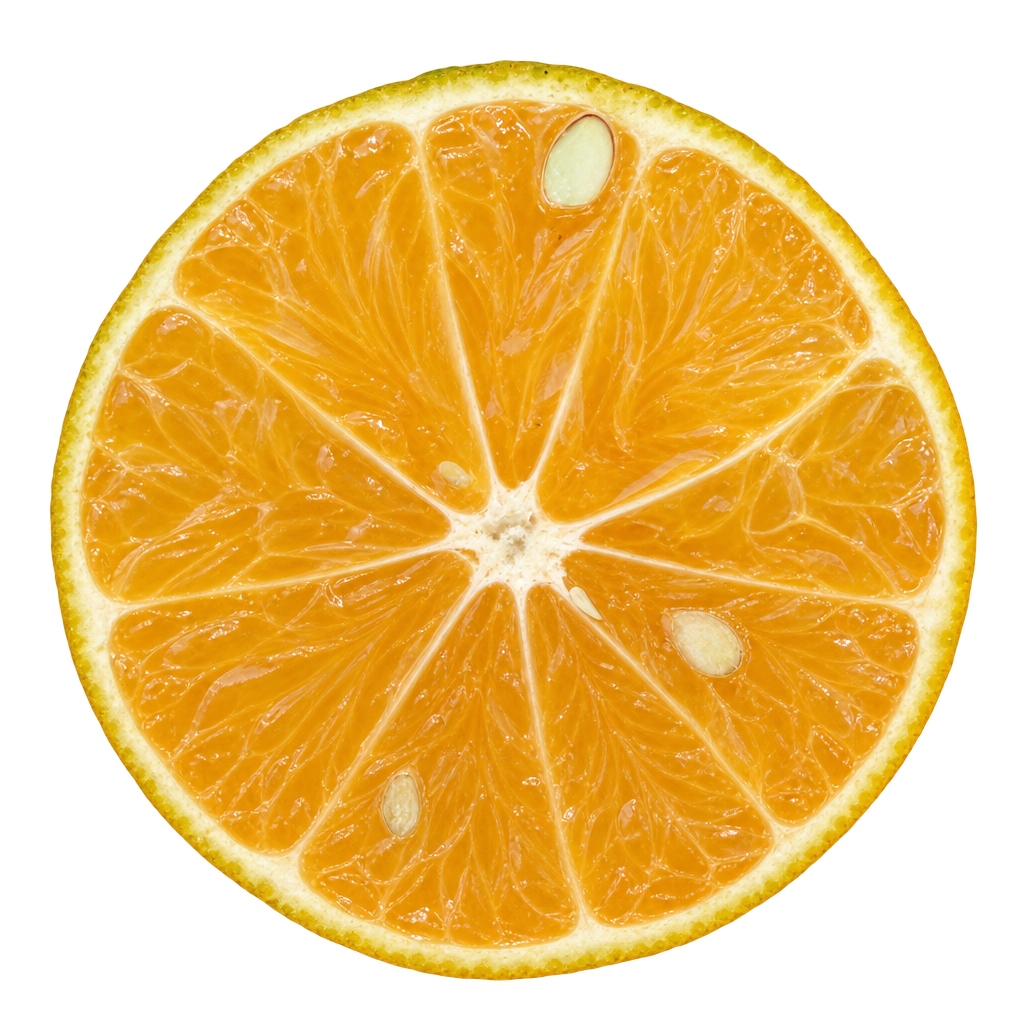 Generated Umatilla tangor equatorial cross section with golden-orange flesh, attached cream pith and pale seeds