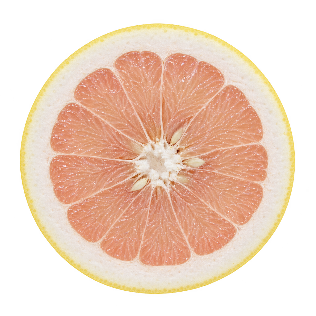 Generated head-on Hirado Buntan Pummelo cross section with pale rose-pink flesh, thick attached cream pith and illustrative ivory seeds