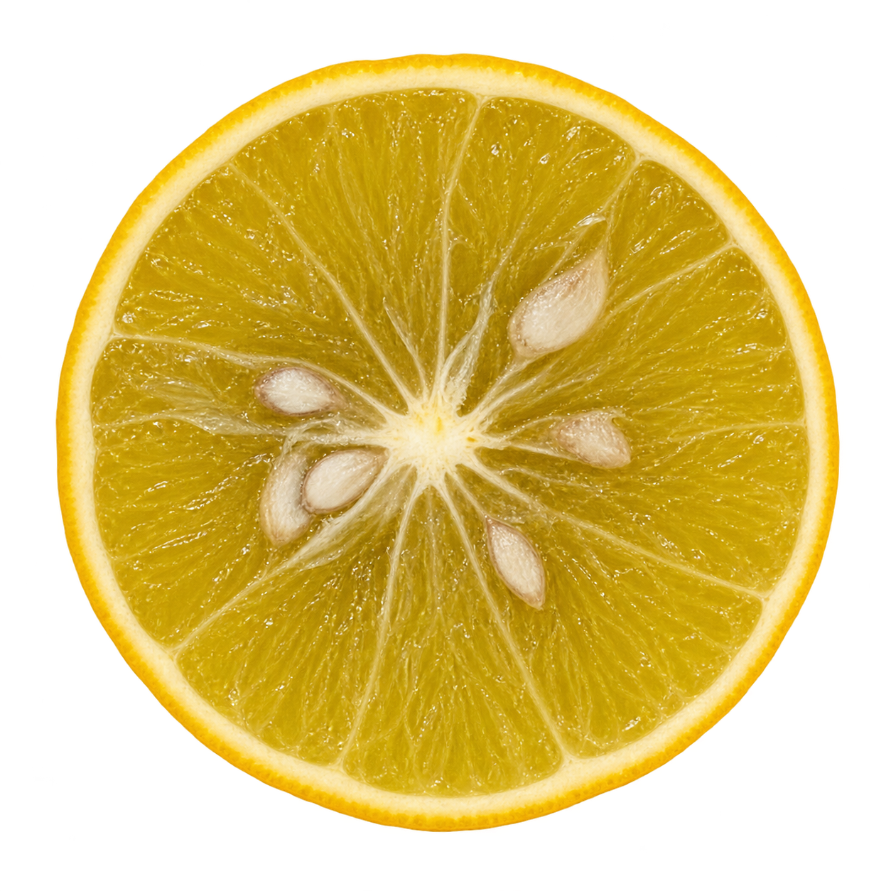 Generated depiction of a C-35 Citrange cross section viewed head-on, with golden-yellow flesh, narrow cream pith, attached rind, and ivory seeds