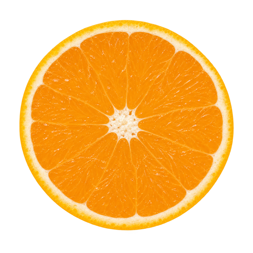 Generated depiction of a Kiyomi tangor cross section viewed head-on, following the reference specimen with orange flesh, narrow cream pith and no visible seeds