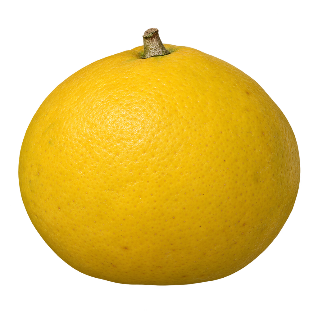 Generated depiction of a sideways-oval M.I.C. fruit with mild bumpiness and deeper yellow ripe rind