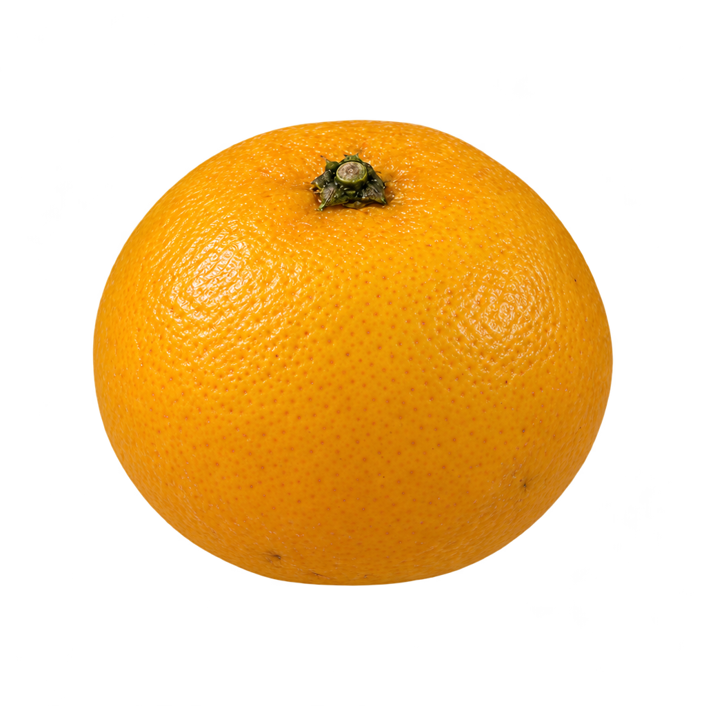 Generated depiction of a flattened mandarin-shaped Dimicelli Citrandarin with finely dimpled golden-orange rind