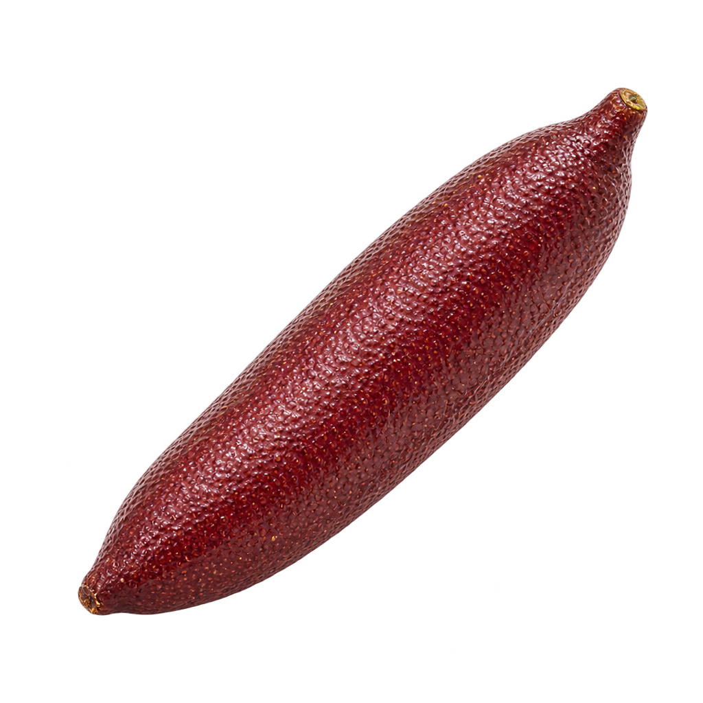 Generated depiction of a long slender UF RedLime finger lime with gently curved, tapered ends and dark burgundy rind