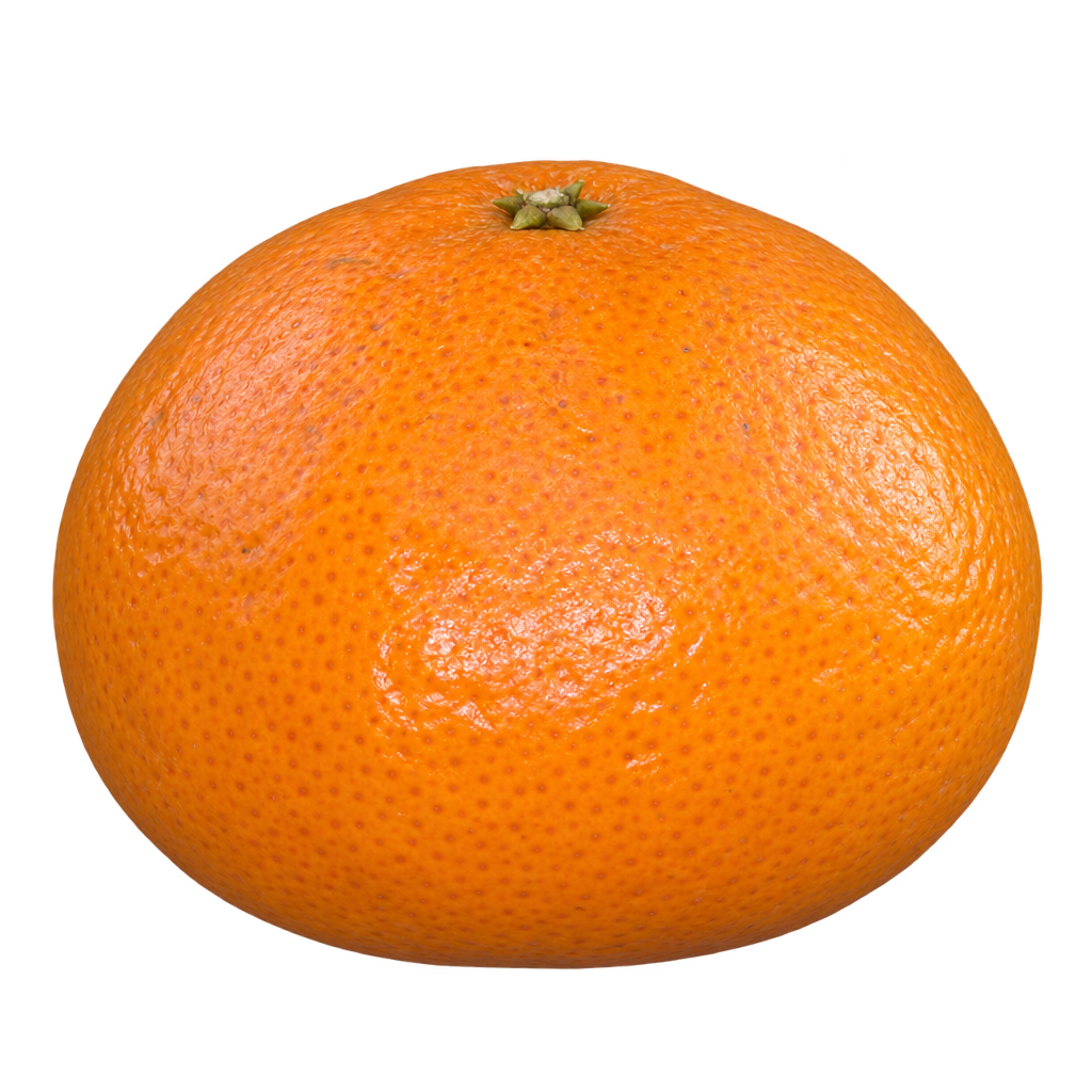 Generated depiction of a Wilking Mandarin with a broad flat base, rounded upper shoulders and finely textured orange rind.