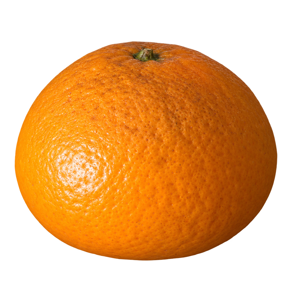 Generated depiction of King Tangor with a broad body wider than tall, coarse orange rind and subtle brown mottling