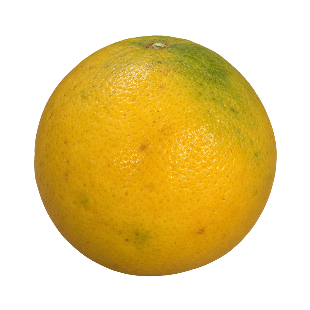 Generated depiction of a round Taiwanica Lemon with golden-yellow rind and subdued green patches