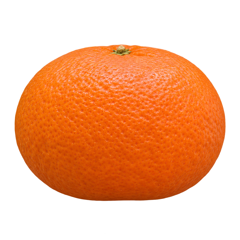 Generated depiction of a Robinson Mandarin with orange textured rind, rounded edges and a body wider than tall