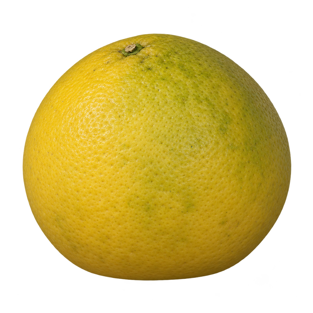 Generated whole Dunstan LeVert Citrumelo with pebbled yellow-green rind, rounded sides, a subtly tapered top and a broad slightly flattened base