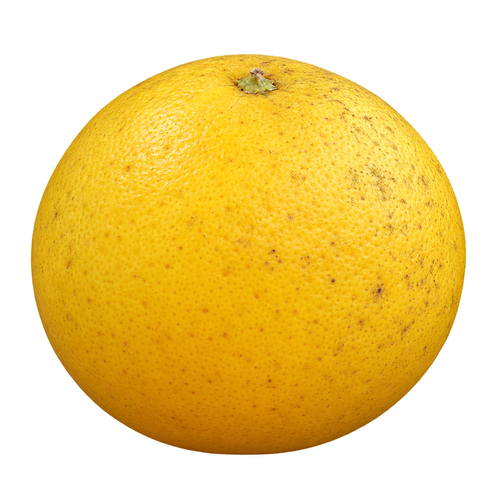 Generated 5 Star citrumelo with a broad rounded golden-yellow body and naturally speckled rind