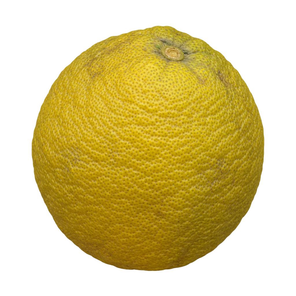 Generated depiction of a full, mildly elongated near-pulpless Ichang Papeda with finely rough olive-yellow rind and a rounded base
