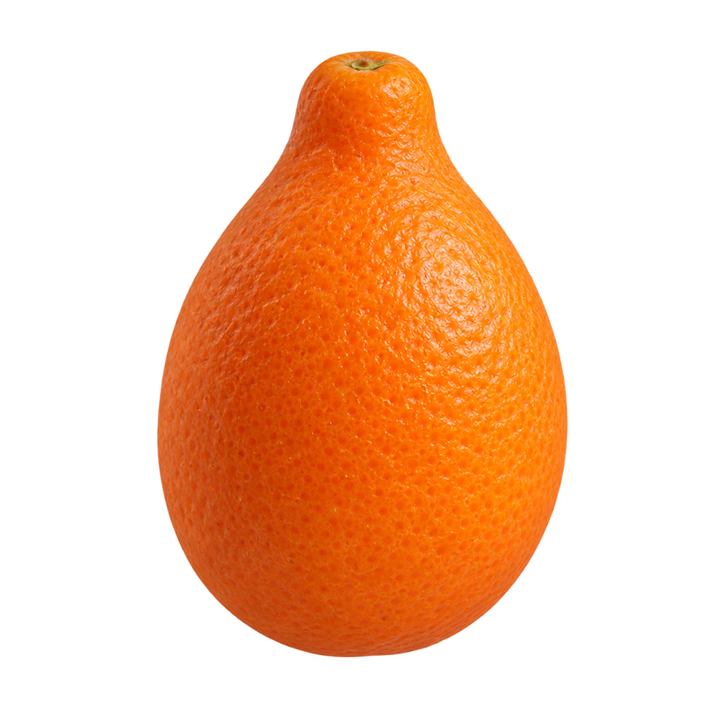 Generated depiction of an egg-shaped Indio Mandarinquat with a short narrow neck, rounded lower body and textured orange rind