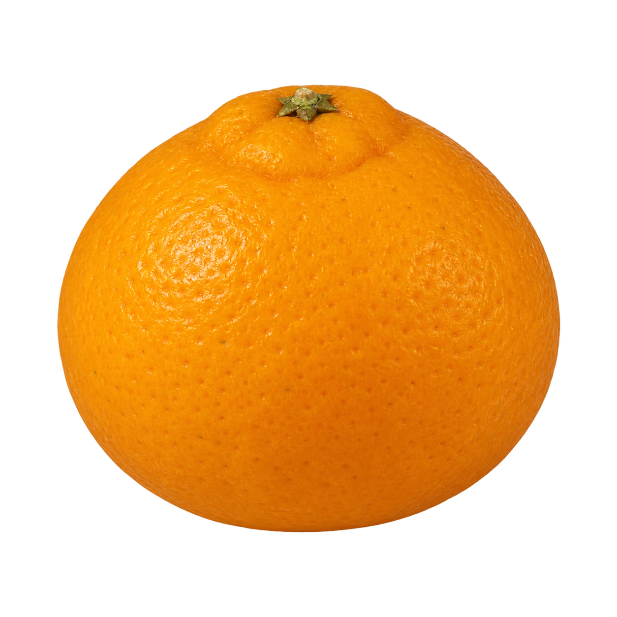 Approximate generated depiction of a rounded Xie Shan Satsuma in side view, with orange rind and a modest raised stem end
