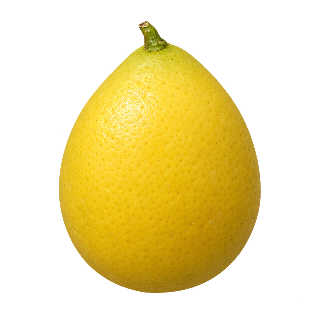Generated depiction of a yellow Lakeland Limequat with a gently egg-shaped body and fine rind texture