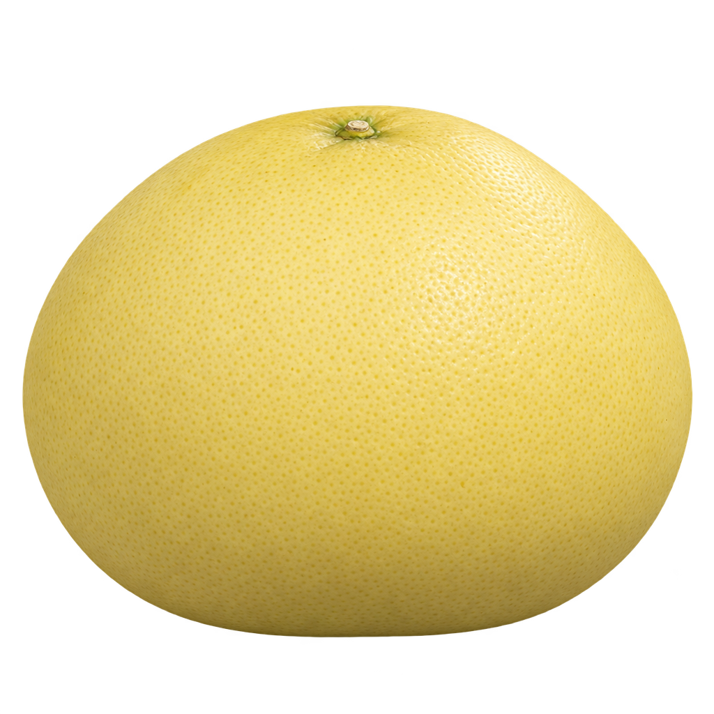 Generated depiction of a broad Hirado Buntan Pummelo with a flattened base, rounded shoulders and finely pored pale yellow rind