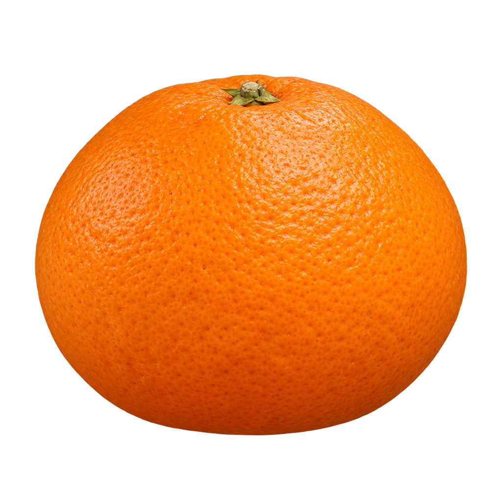Generated depiction of Lee Mandarin with a plump rounded body slightly wider than tall and finely pebbled orange rind