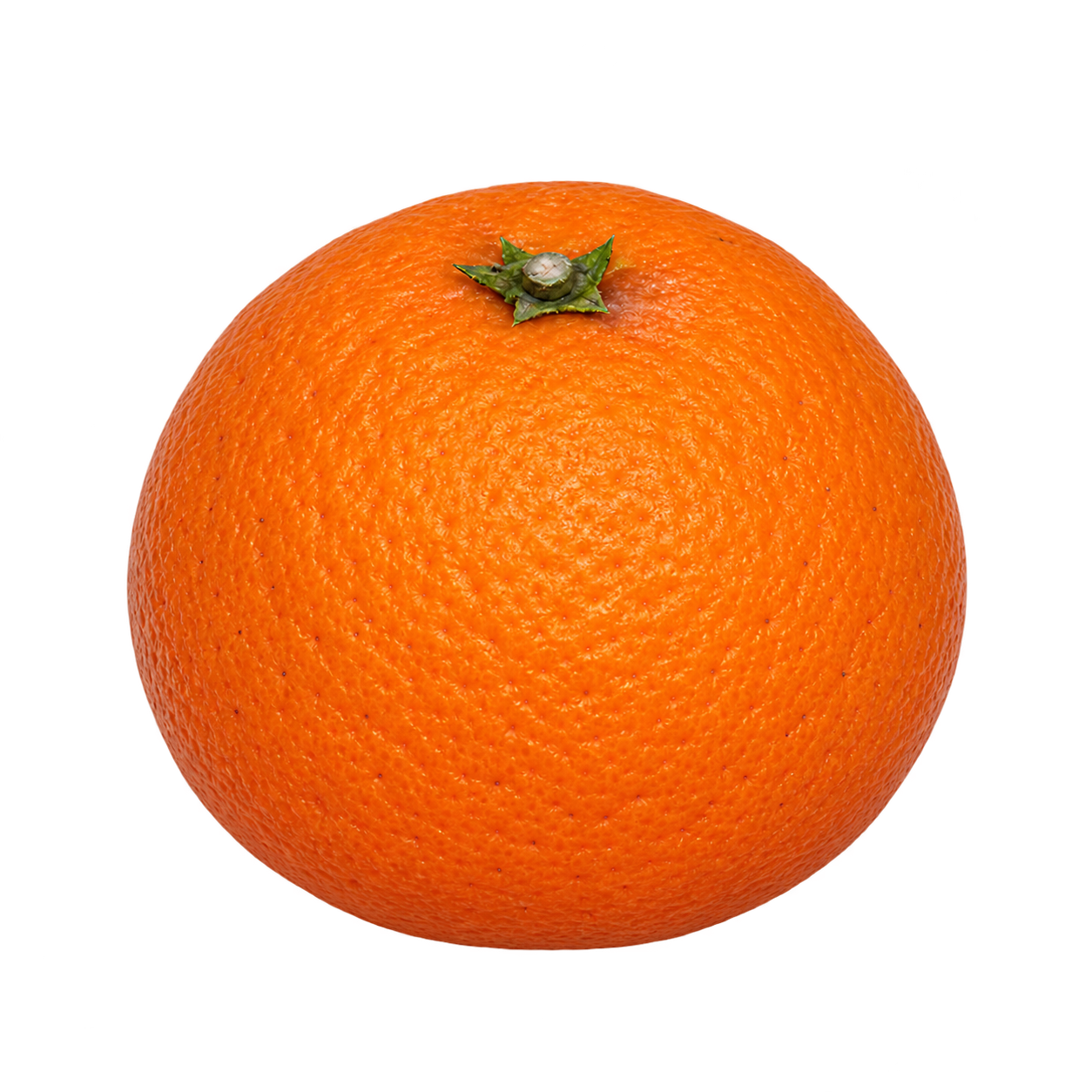 Approximate generated depiction of Frost Owari Satsuma using an Owari reference, with a rounded orange body and small green top calyx