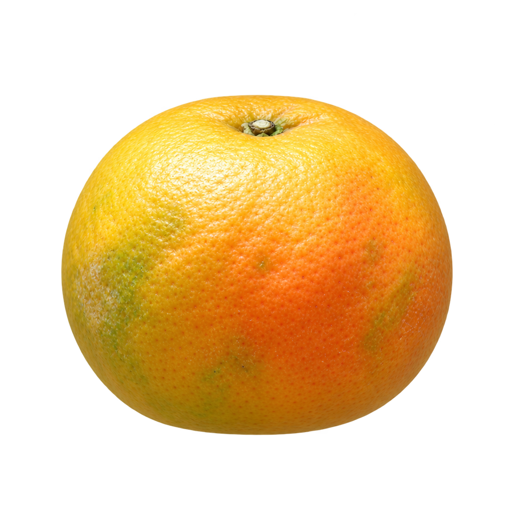 Generated depiction of a small flattened Keraji mandarin with rounded edges and slightly loose yellow-gold rind