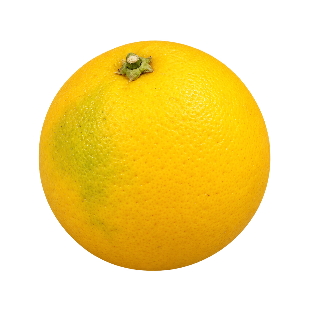Generated depiction of a nearly spherical Succari Sweet Orange from a low side view, with finely textured yellow rind and a faint green cast