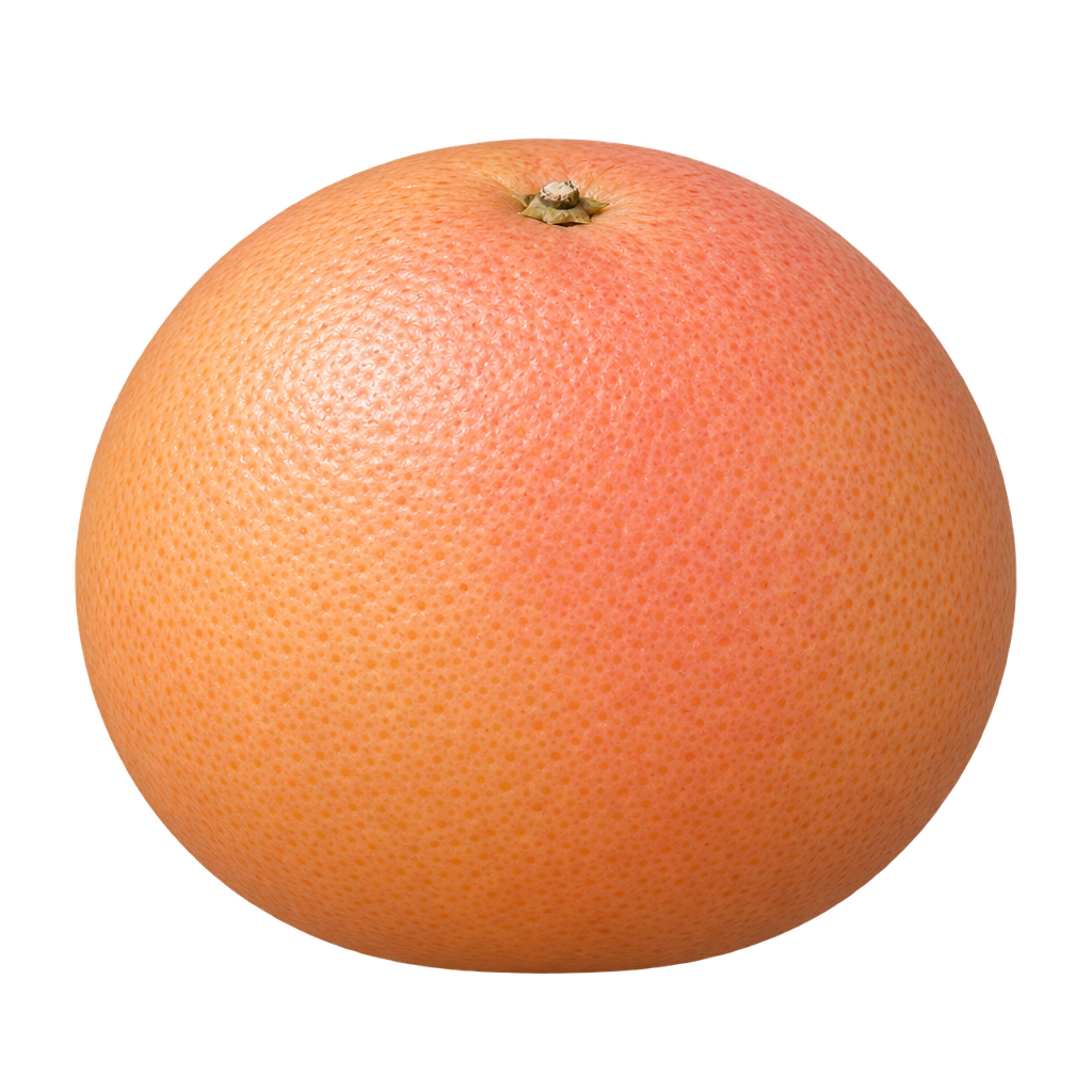 Generated depiction of a plump Flame Grapefruit, mildly wider than tall, with peach-pink finely pored rind and a centered upper calyx