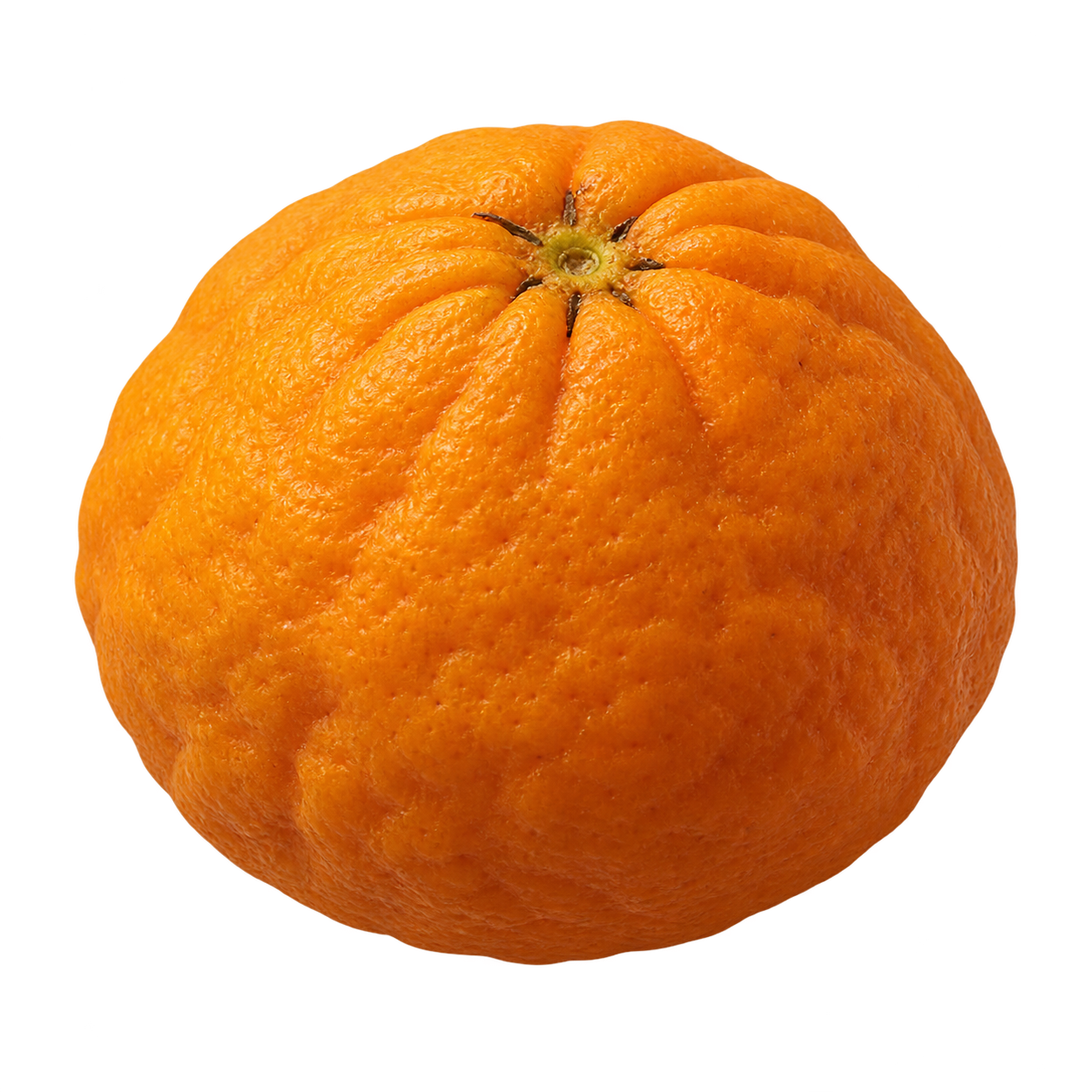 Generated depiction of Benton Citrange in side view, with bumpy orange rind and wrinkles around the recessed top calyx
