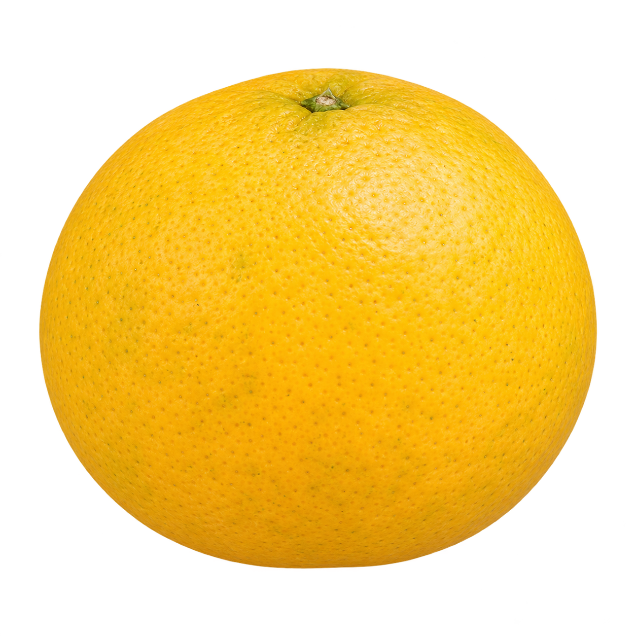 Generated depiction of a whole C-35 Citrange from a low side view, with a rounded silhouette, finely pitted golden-yellow rind, and a small top calyx