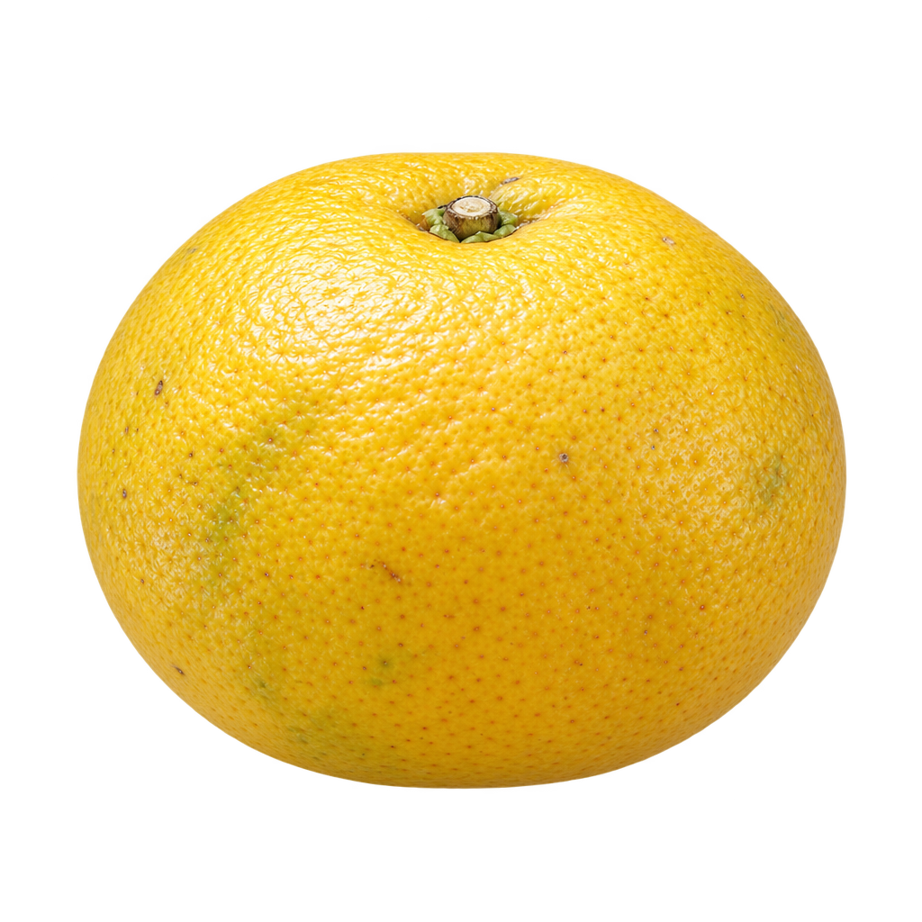 Generated depiction of a gently flattened Kabosu with rounded shoulders and textured yellow rind