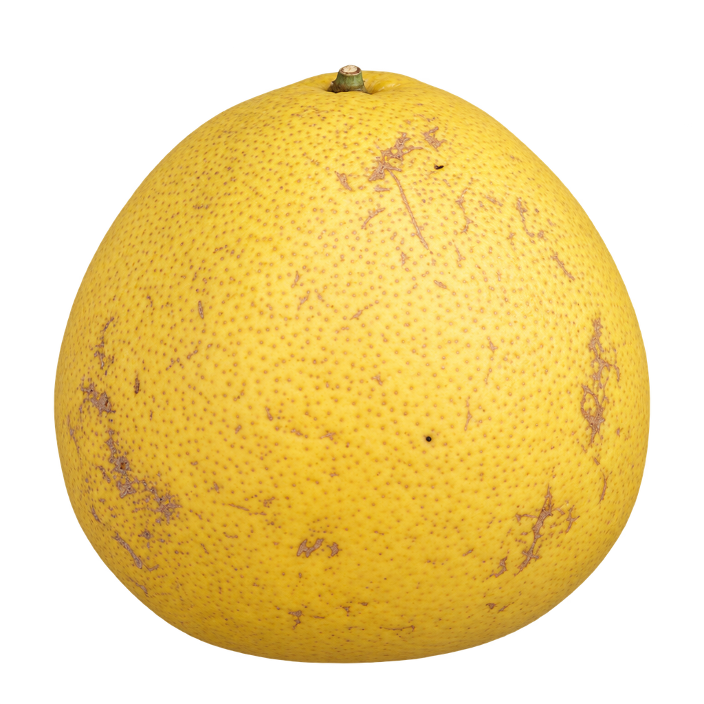 Generated depiction of a full rounded Bloomsweet Grapefruit with gently narrowing shoulders, a broad base, matte yellow rind, natural brown freckling and a short top stem