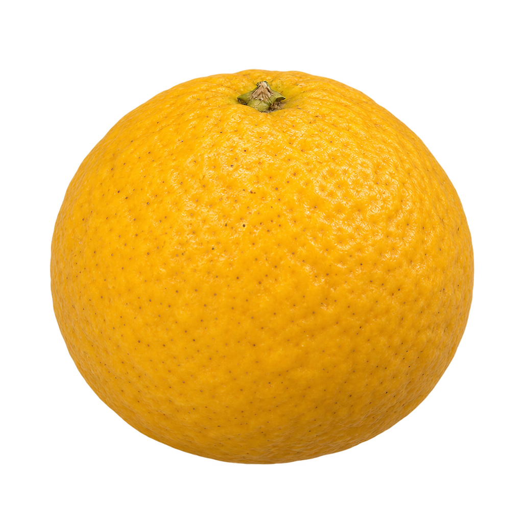 Generated depiction of round Argentine Trifoliate fruit with naturally uneven golden yellow-orange rind, viewed from a low side angle