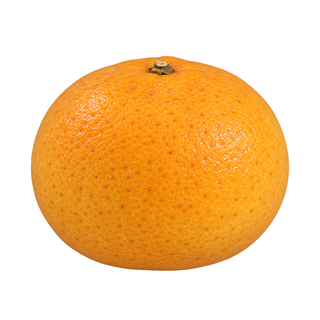 Generated depiction of a rounded, modestly flattened US-897 Citrandarin from a low side view, with pebbled yellow-orange rind and a small top calyx