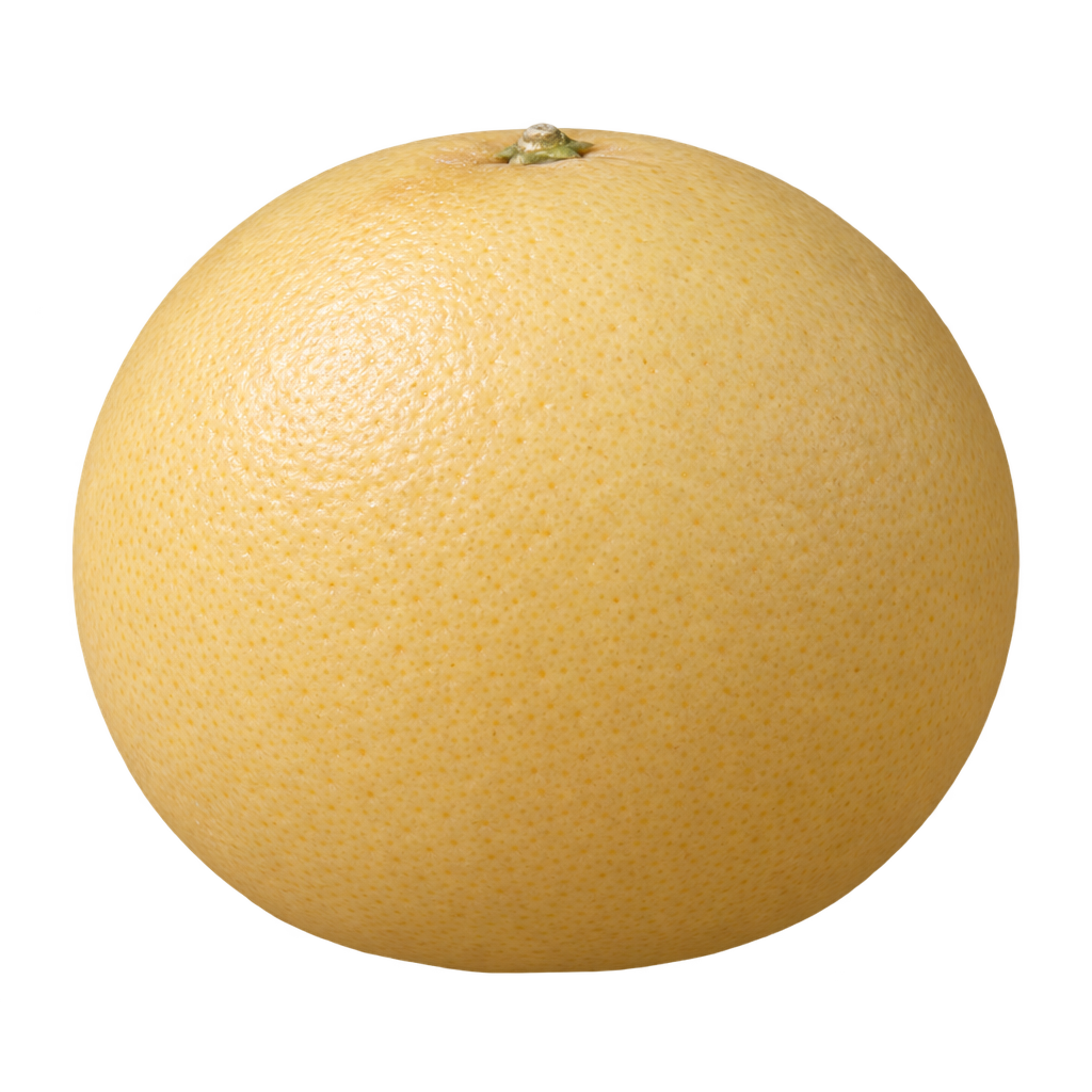 Generated representative Whitney Marsh grapefruit depiction, roundish with gently flattened ends and pale yellow rind, following the supplied Whitney and Frost Marsh references