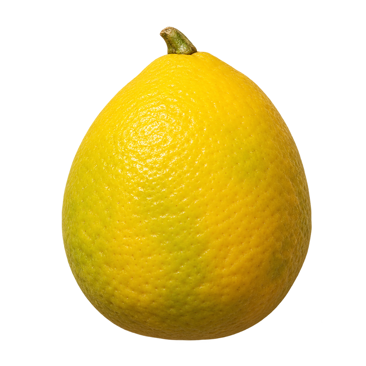 Generated depiction of Thomasville Citrangequat in side view, with yellow finely textured rind, a gently pear-shaped body and a small top stem