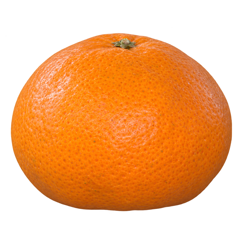 Generated depiction of a Willowleaf Mandarin with rounded shoulders, a broad flat base and finely textured orange rind.