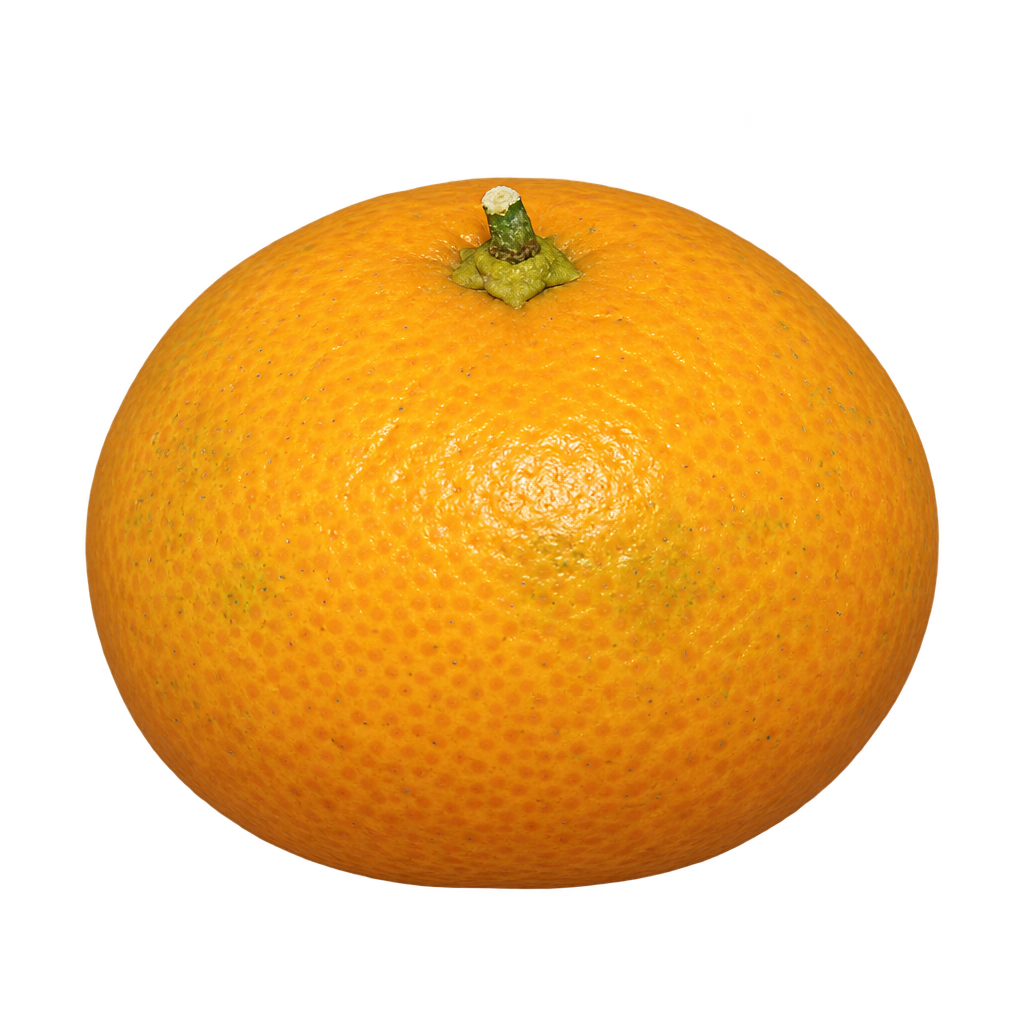 Generated depiction of a broad gently flattened Iwasaki Satsuma with golden-orange textured rind and a small green calyx