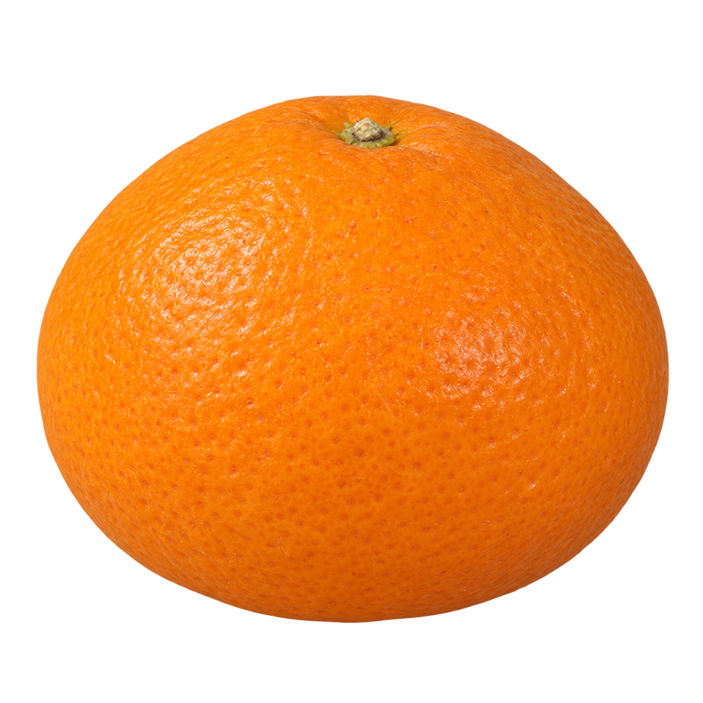 Generated depiction of an Orlando Tangelo slightly wider than tall with rounded shoulders, a shallow stem depression and textured orange rind